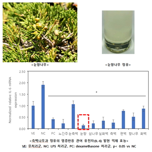 국립산림과학원, 식물 정유 연구성과 공유…천연소재 산업화 기대