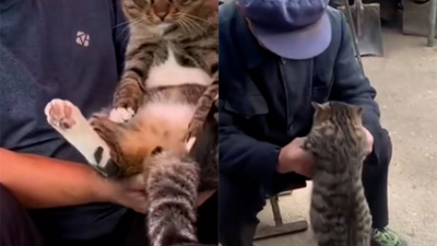 주요행사 이미지