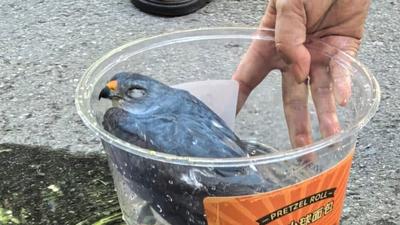 기사 섬네일