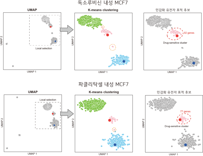 그림 2. 독소루비신과 파클리탁셀 내성 MCF7의 민감화 유전자 표적 예측 과정 예시