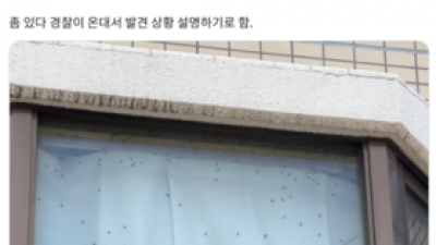기사 이미지