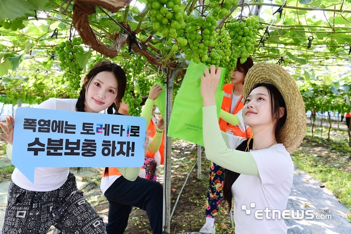 [포토] 토레타!와 함께 수분 보충, 농촌 일손 돕기