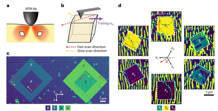 원자힘 현미경(AFM) 팁을 통한 박막의 강탄성 도메인 및 결정 방향 제어 모식도
