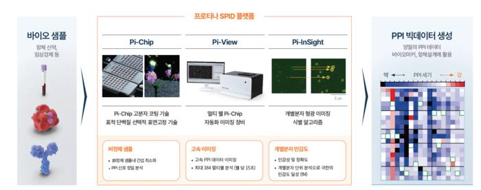 프로티나의 단백질 간 상호작용(PPI)을 분석하는 플랫폼 'SPID'(사진=프로티나)