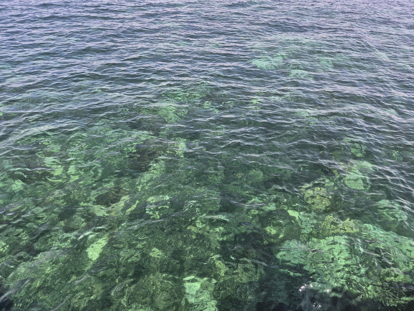 사진= 필리핀 바다