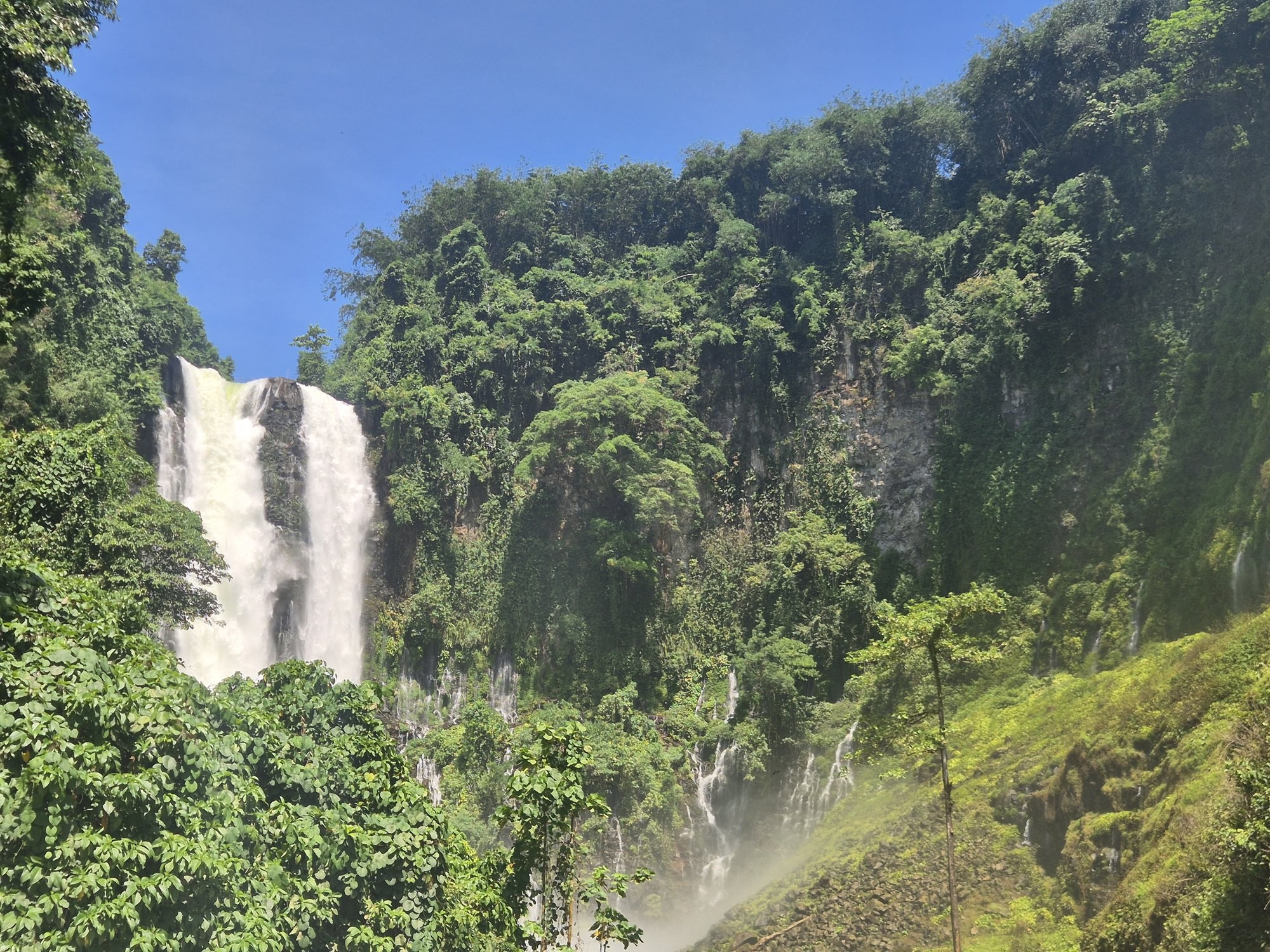 사진= NPC 네이처스 파크