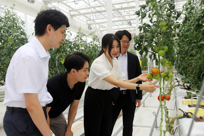 기계연 미래농생명공학연구단 및 무탄소발전연구실 연구팀. 사진 왼쪽부터 김영상 책임연구원, 박진영 선임연구원, 박혜리 인턴, 이상민 단장.