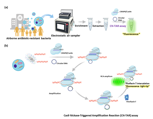 CN-TAR를 이용한 공기 중 항생제 내성 박테리아 검출 개요