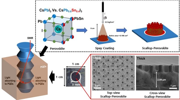 스캘럽(Scallop)-페로브스카이트 양자점 이종접합 텐덤 광센서 개요도.
