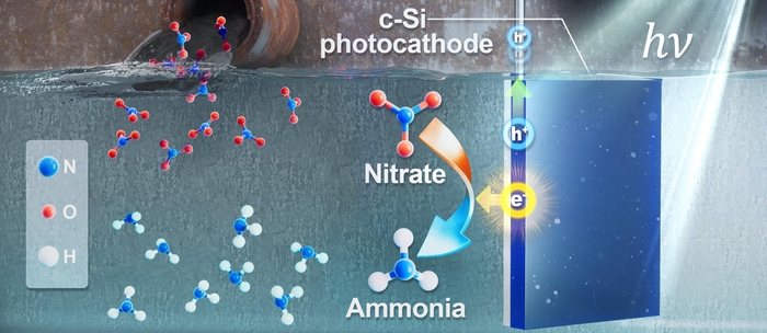 폐수 속 질산염을 암모니아로 바꾸는 광전기화학시스템