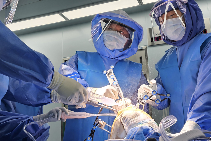 박일규 부천성모병원 정형외과 교수가 로봇 인공관절 수술을 집도하고 있다.(사진=부천성모병원)