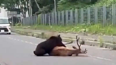 주요행사 이미지