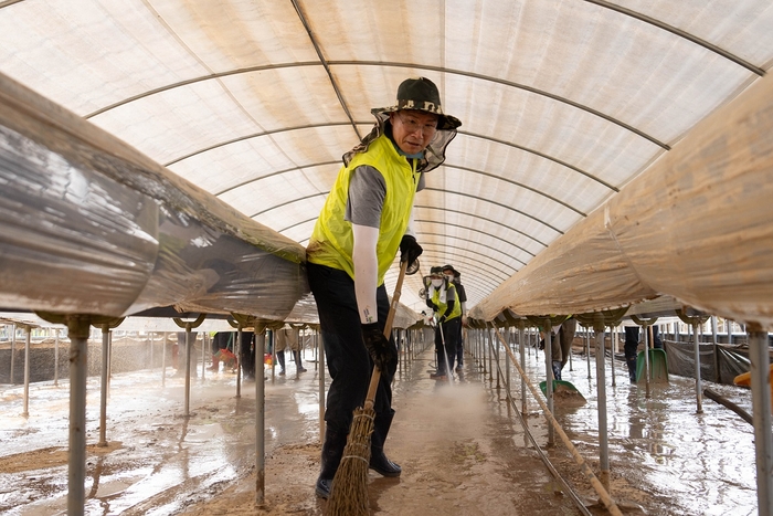 강태영 은행장(가운데)을 비롯한 농협은행 임직원들이 29일 충남 당진을 찾아 관내 농축협 임직원들과 함께 피해복구에 참여했다. 사진제공=NH농협은행