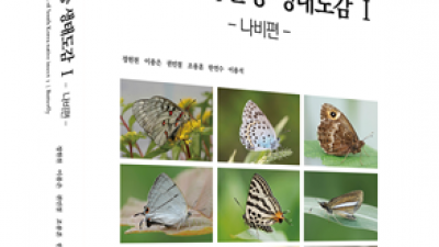 기사 썸네일