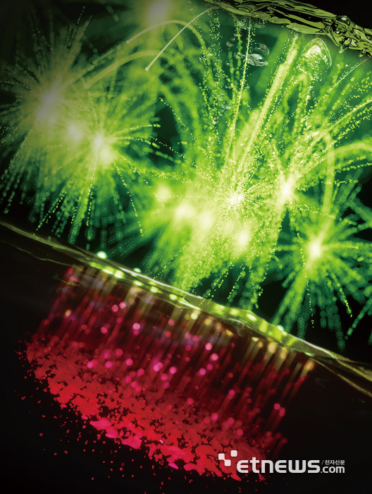 네이처 자매지 Nature Biomedical Engineering 표지논문