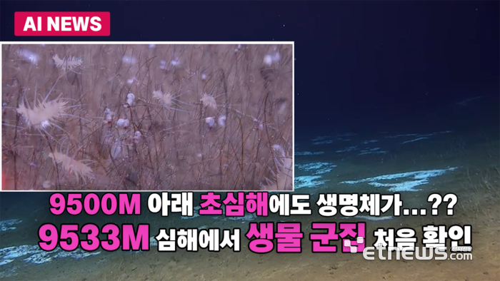 9,533m 심해 '화학합성 생물 군집' 확인… 사상 가장 깊은 생태계 보고