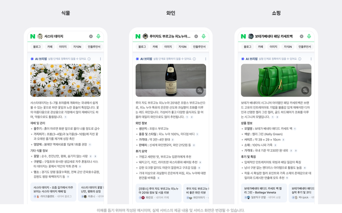 네이버, 이미지 검색에도 AI 브리핑 적용