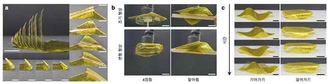 단일 로봇 종이로부터 유도되는 다양한 형상 변형 및 이의 활용 예시