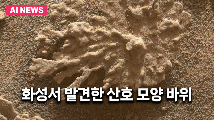 화성서 발견한 산호 모양 바위