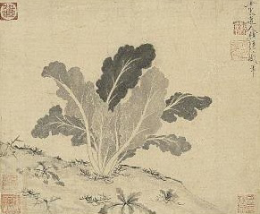 14세기 중반 원나라 승려 고영이 그린 배추 그림.