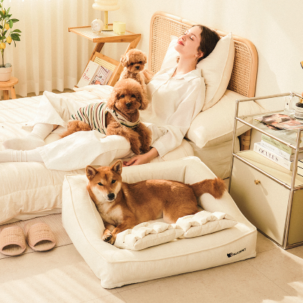 [마이펫페어] 반려용품 전물 기업 개과천선, 반려동물용 '클라우드 빈 방석' 출시…메모리폼 기반으로 관절 보호 강화