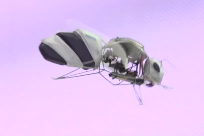 독일 훼스토(Festo)사가 개발한 '바이오닉 벌(Bionic Bee)' 로봇 / 유튜브 @cnsvideo 영상 캡처