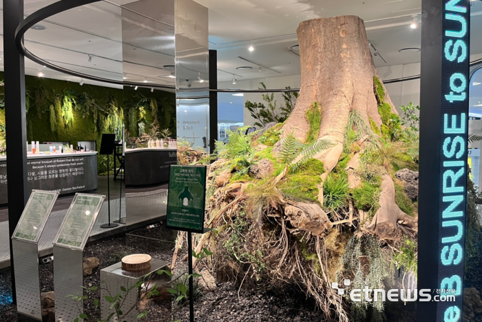 들어서는 순간 숲속에 온 듯한 경험 제공을 목표로 리뉴얼한 '비더비'의 상징적 요소인 '아름다움의 나무'. 이 나무에서 K-뷰티를 수호하는 7개 정령의 탄생 세계관을 구축해 현장 이벤트와 연계하고 있다. SBA 제공