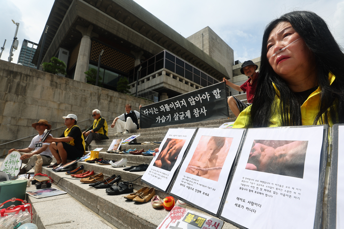 가습기살균제 참사 피해자 및 유족들과 환경보건센터 등 단체 회원들이 28일 서울 종로구 세종문화회관 계단에서 가습기살균제 참사 14주년 기자회견을 열고 있다. 연합뉴스