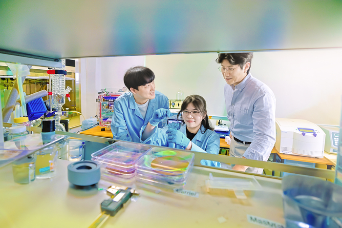 경희대 화학공학과 오진영 교수 연구팀이 그간의 한계를 넘어 체내에 전자기기를 안전하게 삽입할 수 있는 생체친화적 신축성 반도체를 개발했다(사진=경희대)