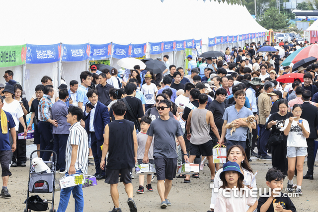 화성시가 지난 6일 서신면 궁평항 일원에서 개최한 '제11회 화성송산포도축제'에 관람객들이 북적이고 있다.