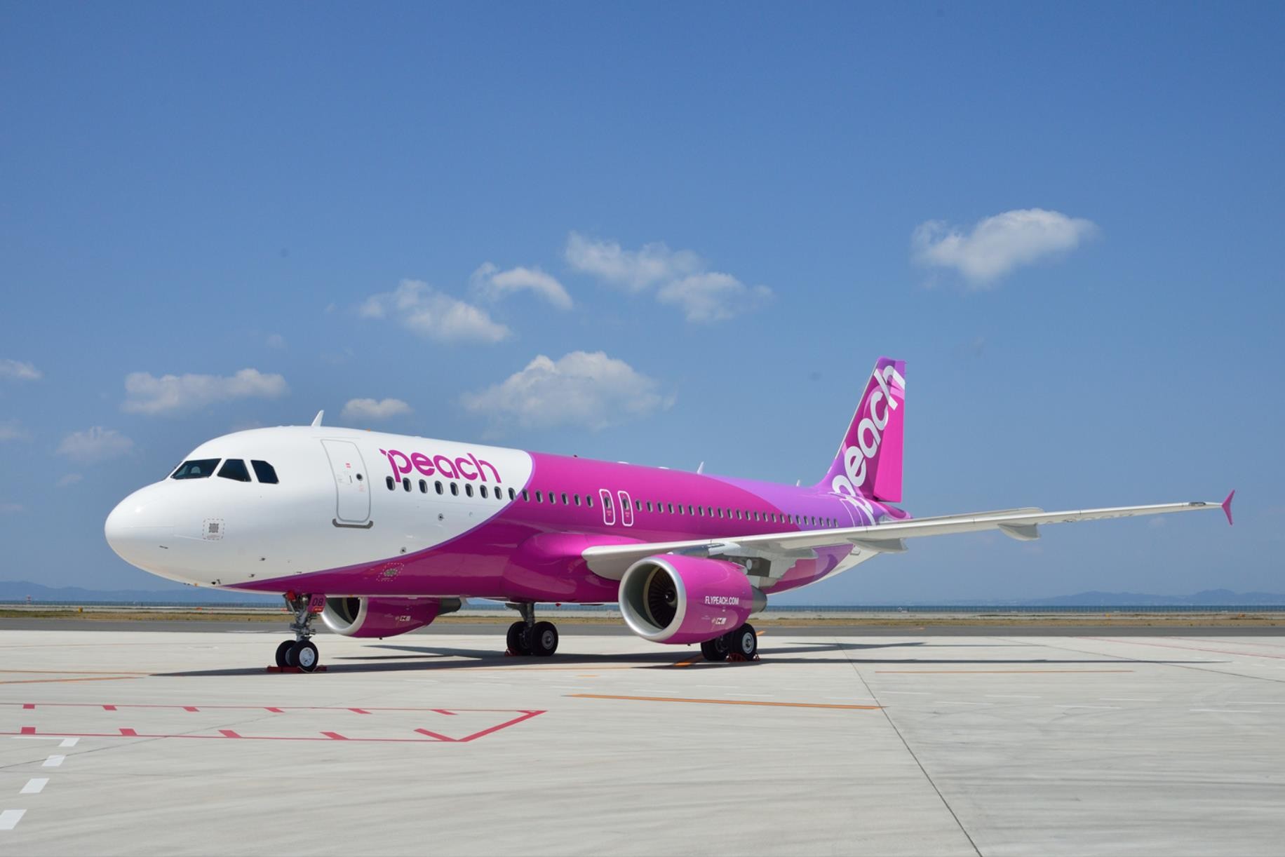 사진= 피치항공