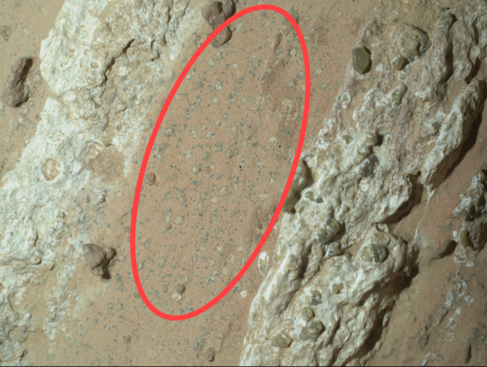 “화성 테라포밍 가능할까”... NASA “확실한 생명체 흔적 발견”