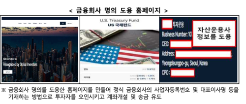 금융회사 명의도용 홈페이지 예시. (사진=금융감독원)