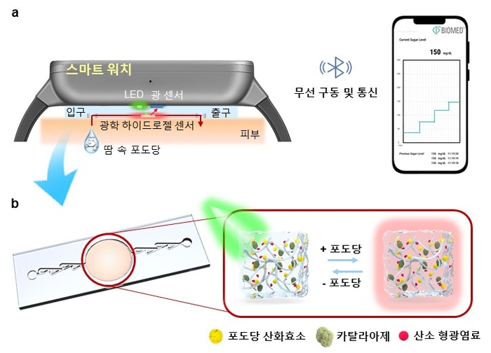 광학 기반 연속 혈당 측정을 위한 테슬라 밸브, 광학모듈, 광학 하이드로젤이 통합된 스마트 워치와 스마트폰 연계 실시간 무선 연속 혈당 모니터링 시스템에 대한 모식도