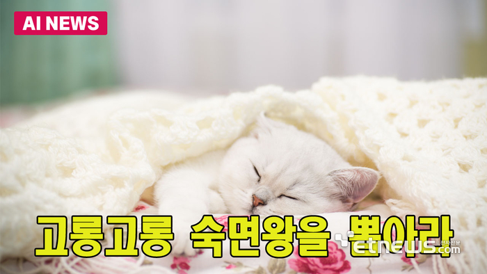 고롱고롱 숙면왕을 뽑아라