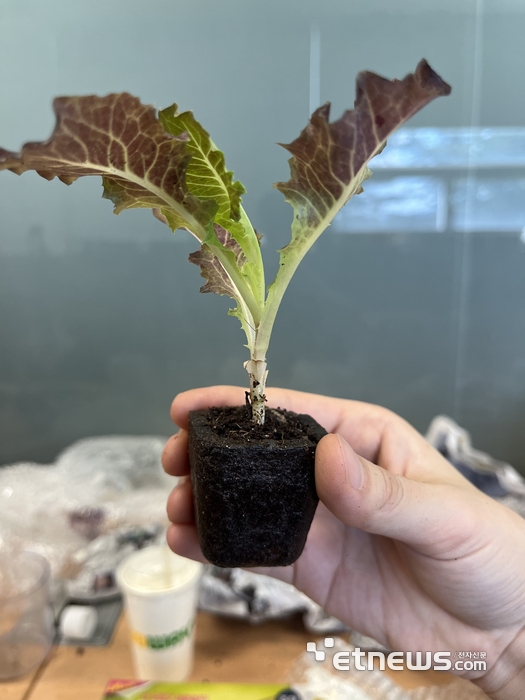 가축 퇴비를 활용한 1구 모종 트레이 창업 아이템 사진