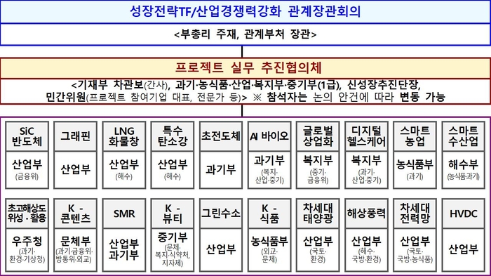 초혁신경제 선도 프로젝트 추진단 체계도.[기재부 제공]