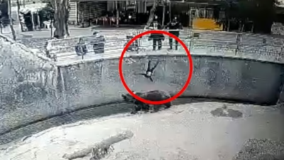 기사 섬네일