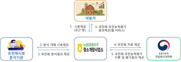 젖소 유전체 유전능력평가 결과 농가 서비스 계획. (자료=농진청)