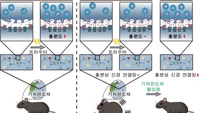 기사 섬네일