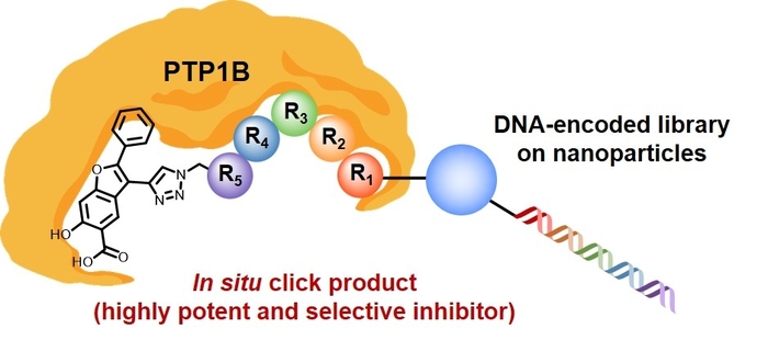 DNA-암호화 라이브러리 기술과 '클릭 화학'을 활용해 탈인산화효소(PTP1B)에 뛰어난 선택성과 강력한 활성을 갖는 신약 후보 물질 발굴 시스템 이미지