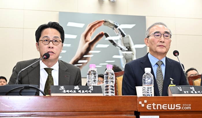 [포토] 답변하는 조좌진 롯데카드 대표