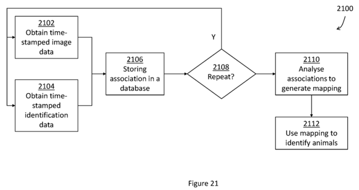 AI 활용 자율 가축 모니터링 솔루션의 예시