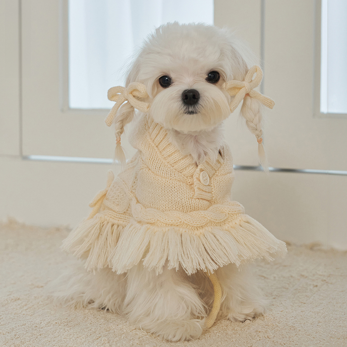 [마이펫페어] 베일리펫, '브리즈 니트 판초' 소개