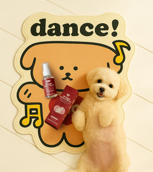 [마이펫페어] 반려견 분리불안, 지렁이 추출물로 정서 케어…댕스소셜클럽, 10월 수원 마이펫페어 첫 공개