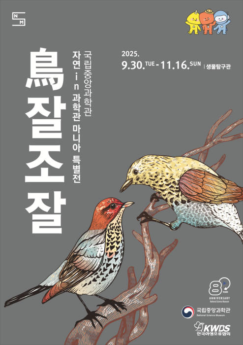 국립중앙과학관 '鳥잘조잘' 특별전 포스터