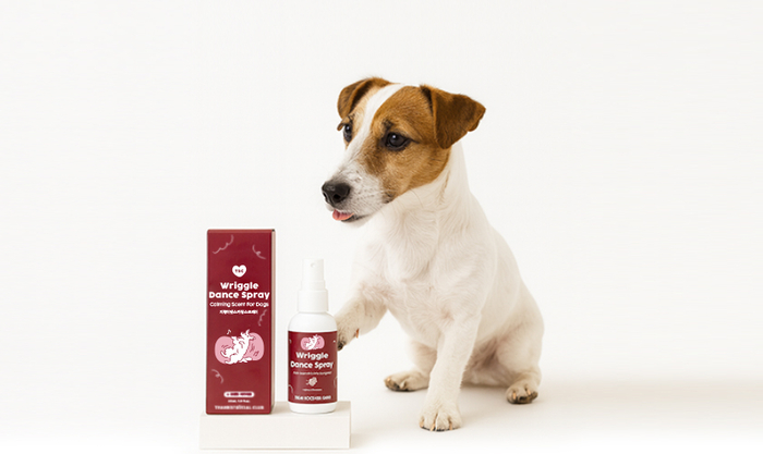 지렁이댄스 스프레이 패키지