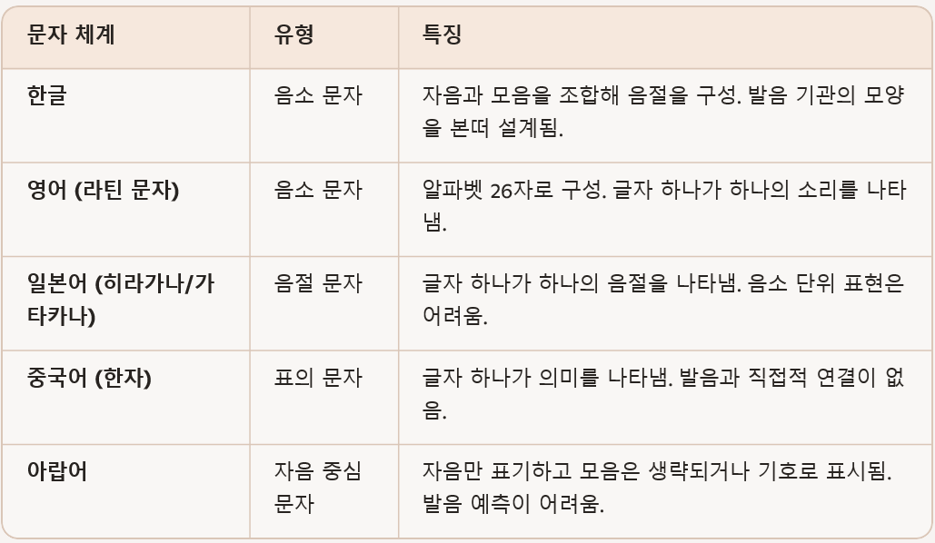 문자 유형 비교