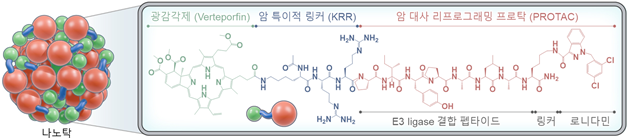 나노탁을 구성하는 약물 접합체의 화학적 구조