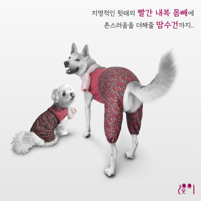 품절 대란의 크왕 댕촌룩, 업그레이드된 리얼 촌캉스룩으로 컴백